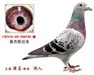 骠马6739
