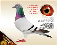 【蓝色梦想】“梦想家”直孫女！