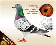 【福雷迪萝妮】“福雷迪”直孙女！