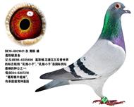 奶酪小子直子--子弹