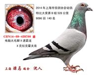 骠马8700