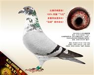 【颜卡飞戈】“飞戈”直孙女！