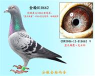 勃默德配詹森邦德007  010662