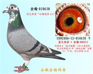 勃默德010638（已售）