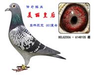 美丽皇后