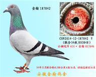 勃默德187842已售