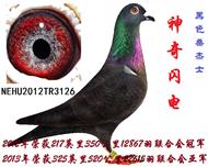 神奇闪电