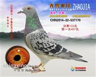 齐鲁兆佳精英秋棚133名