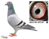 无畏号直孙女147