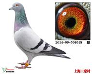 特比5名直女～18号灰