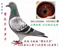 年轻里瓦尔多