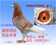 范德佛拉斯血系