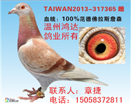范德佛拉斯系