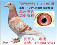 范德佛拉斯系