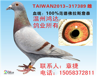范德佛拉斯系
