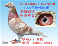 范德佛拉斯系