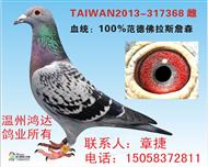 范德佛拉斯系