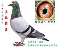 无敌霸王号