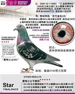 “惠翔公棚23名”（已售出）