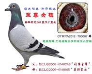 至尊女孩