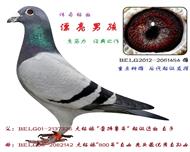漂亮男孩