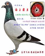 海上霸王