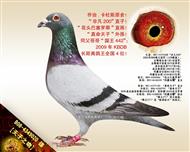 【天子之吻】“真命天子”外孫！