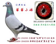 茜茜小妹
