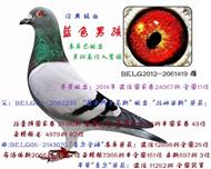 蓝色男孩