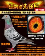 “火箭教父”非卖品