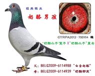 奶酪男孩