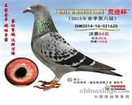 安徽万佛公棚决赛64名
