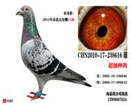 太子(己售北京)