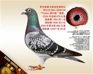 【恶霸】“小巴塞罗那”曾孙！