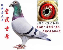 金武士号