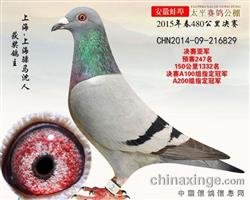 骠马6829