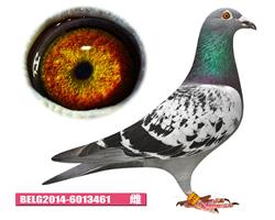 盖比·凡德纳比