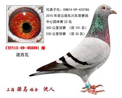 骠马8001