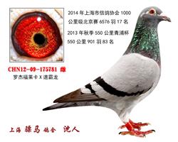 骠马5781