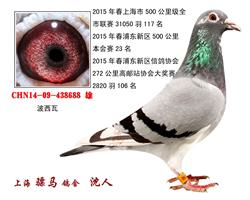 骠马8688