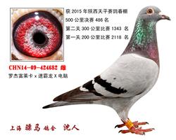 骠马4682