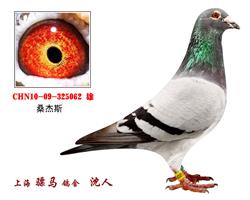 骠马5062