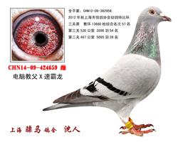 骠马4659
