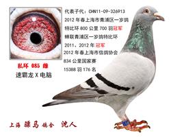 骠马085