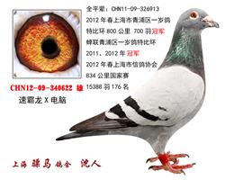 骠马0622