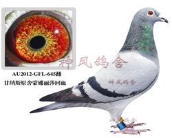 甘纳斯