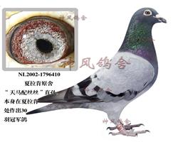 无敌天下