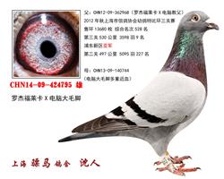 骠马4795