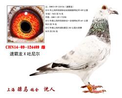 骠马4409