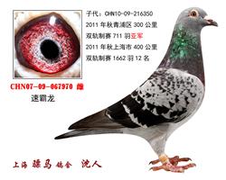 骠马7970